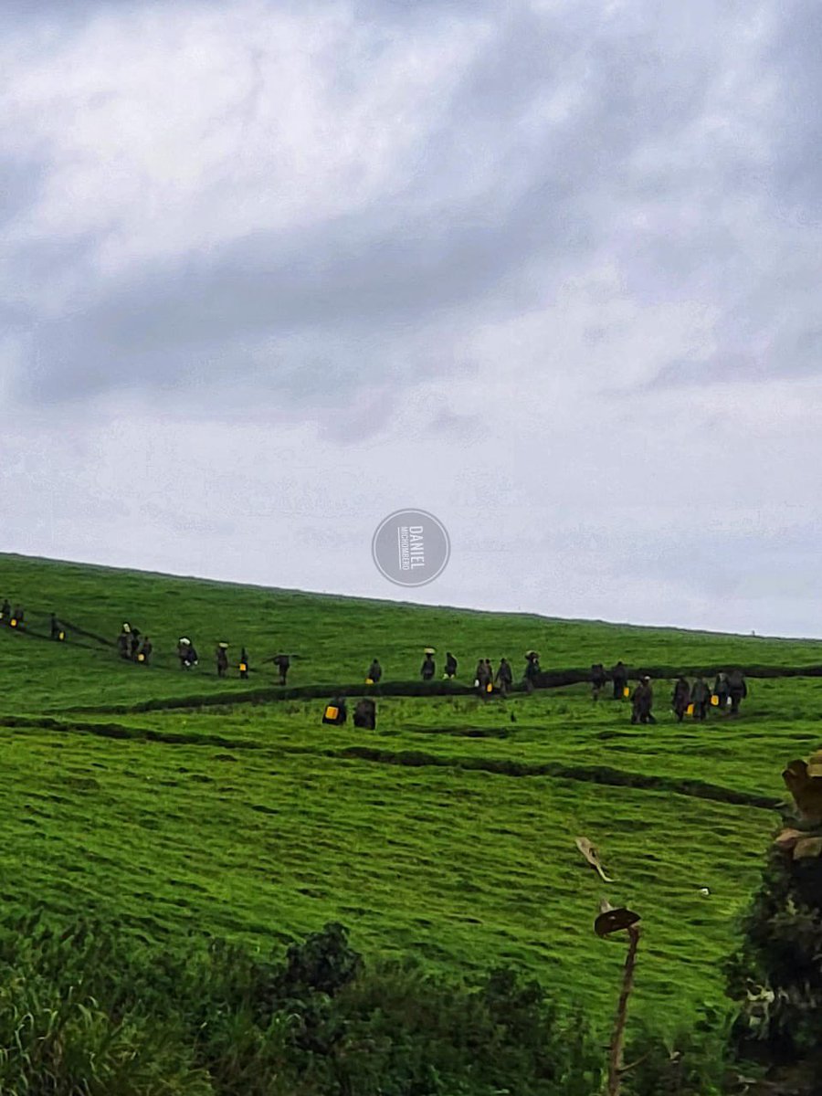 michombero's tweet image. #RDC 🇨🇩-#Rwanda 🇷🇼: une source proche de Kigali évoque la possibilité d’une poursuite de la guerre malgré l’accord attendu à Washington

Une source présentée comme proche des cercles de décision à Kigali affirme que le Rwanda envisagerait de poursuivre les hostilités dans l’est…