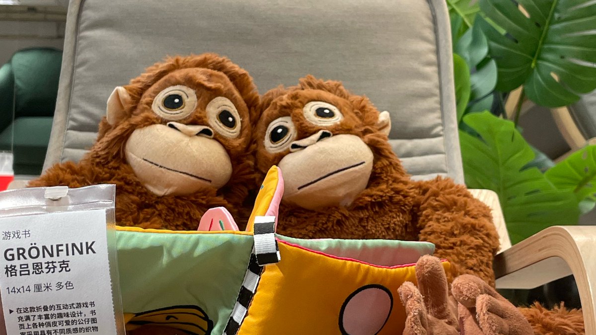 moranweb3's tweet image. 其实我想出来聊一聊知乎——我曾经的白月光。

其实对于一个所谓的“intp”来说，最重要的是前期的吸取知识的阶段。

📌如果前期知识吸取的少，或者不完善，后期形成自己的体系的时候就会有漏洞。…