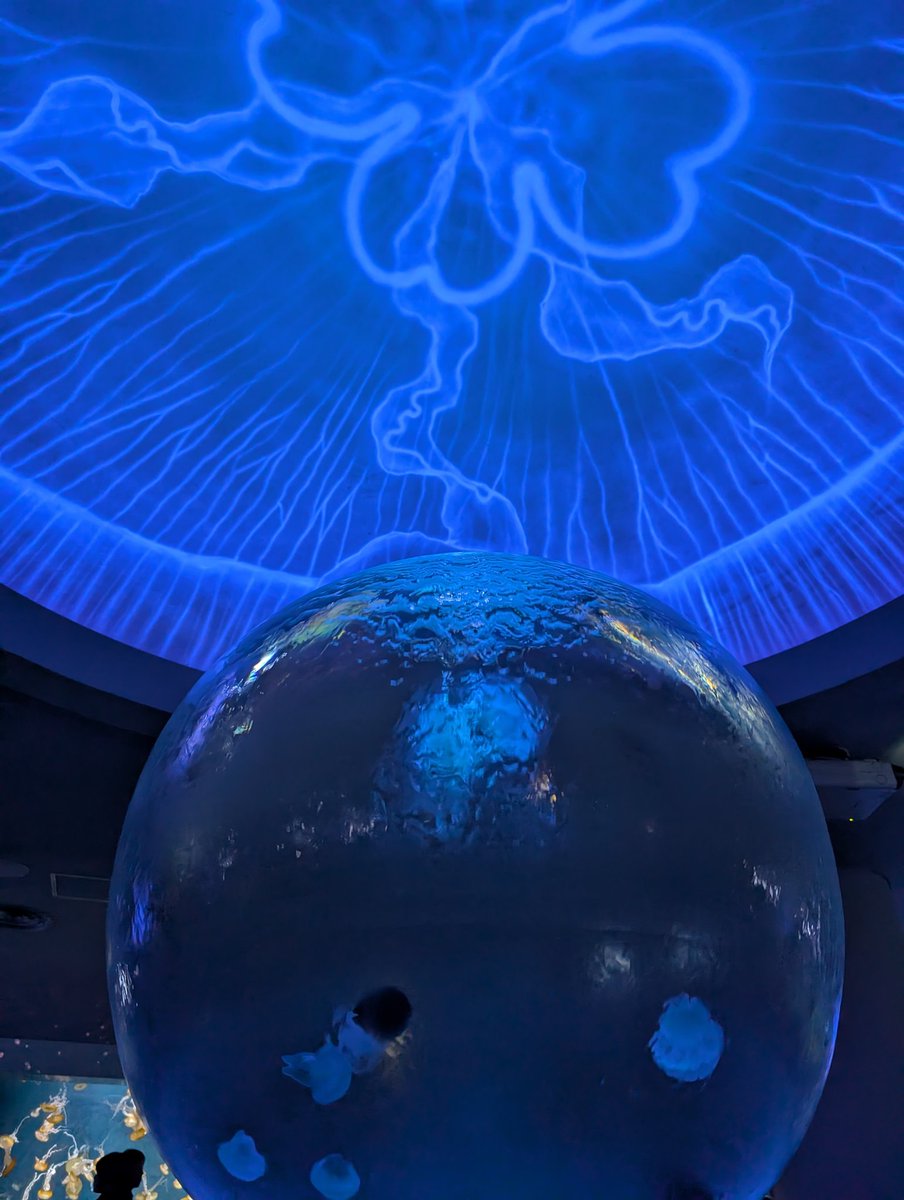 Alice13_genso's tweet image. #元素騎士 で稼いだお金でお出かけ⁽⁽(◍˃͈꒵˂͈◍)⁾⁾
支払いはもちろん  #Tria で\(*`꒳´*)/
 #BCG で稼いで現実で使える❣️
本当に最高です( *¯ ꒳¯*)ﾑﾌﾌ
@useTria #TriaTreasure