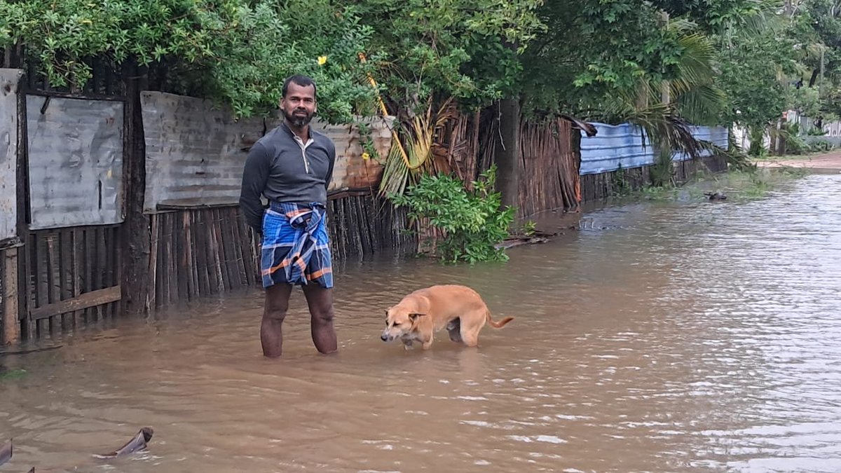 🚨 Over 90,000 affected in Mullaitivu as floods sever bridges and wipe out power

Flooding across Mullaitivu has forced thousands from their homes, severed major road links and left regions without electricity or telecommunications, as disaster officials warn that the true scale