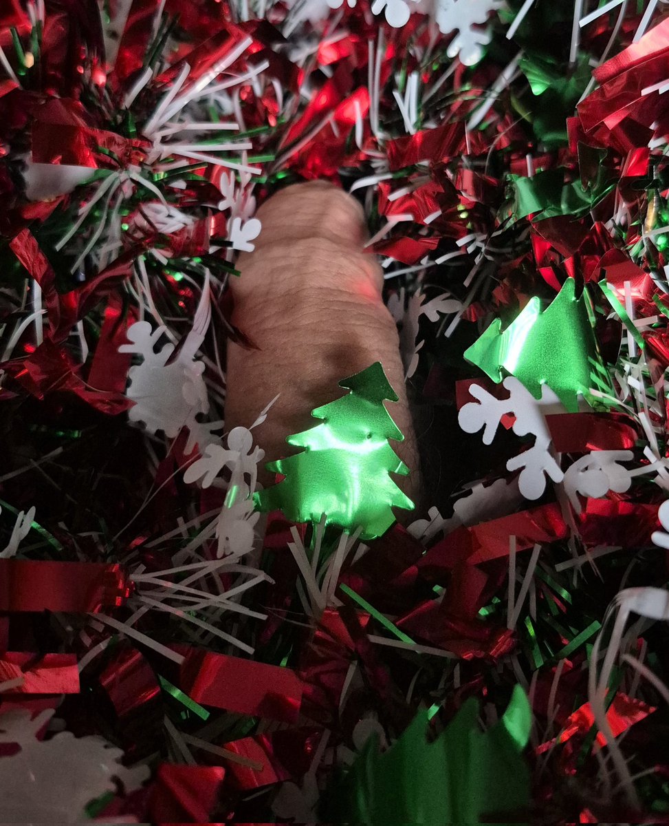 Tree is going up today.