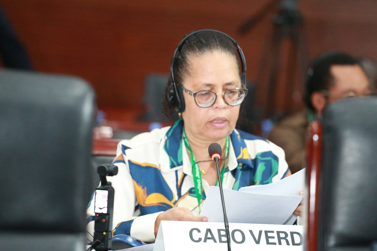 acerwc's tweet image. States took the floor to present the status of their reports, share updates on their technical, financial &amp;amp; institutional preparedness, and highlight key challenges and opportunities. They also provided indicative timelines for the submission of their upcoming reports.

#ACRWC35