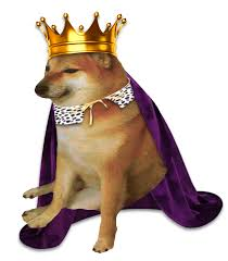 loading_all's tweet image. $cheems is destined for glory. Do you understand?

57hpStXvz9H4HktqhY23KFwBhs48rASn5GWNrcFpbonk