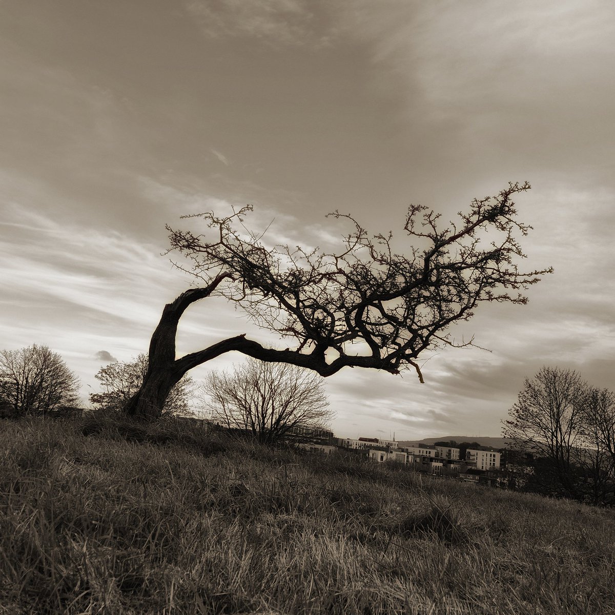 And those who were seen dancing were thought to be insane by those who could not hear the music. 

- Attributed to Nietzsche, though the true origin is uncertain.