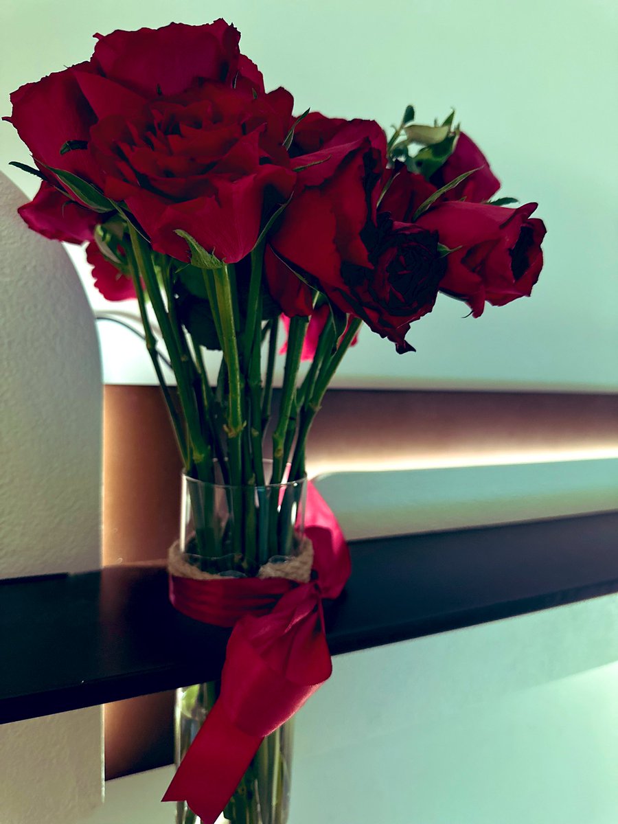 أثر العوض أحلىّ من الماضيّ وأهلهّ.✨♥️🌍