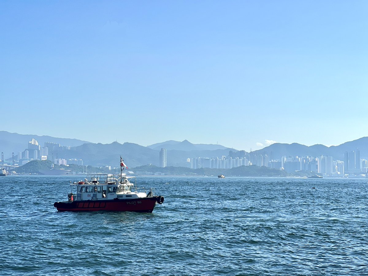 Hello December! Here's What I Did Last Month - mailchi.mp/c537e7376a9b/k…