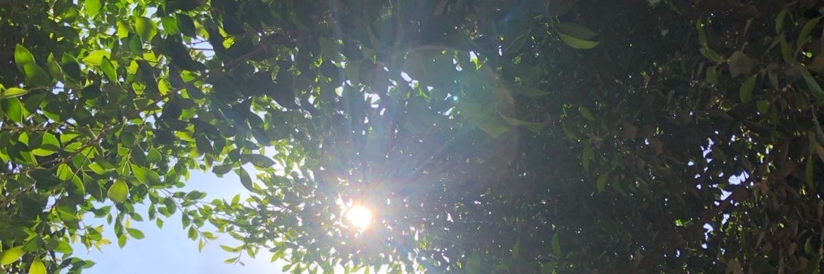 رسالة صباحية 📬

تعلم دائمًا أن تفتح باباً على الحياة أن  تتنوع تختلف تتجدد تتعلم تتطور .حافظ على قلبك نقياً سعيداً مُشعاً يرى النُور في أبسط التفاصيل  وأن تكون أكثر عطاءً لذاتك ثم لجميع من هم حولك .