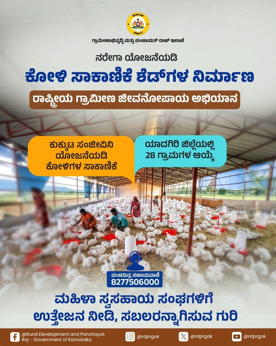 rdprgok's tweet image. ಕುಕ್ಕುಟ ಸಂಜೀವಿನಿ ಯೋಜನೆಯಡಿ ಸಮುದಾಯ ಕೋಳಿ ಸಾಕಾಣಿಕೆ ಶೆಡ್‌ಗಳನ್ನು ನಿರ್ಮಿಸಲು ಉದ್ಯೋಗ ಖಾತ್ರಿ ಯೋಜನೆ ನೆರವಾಗುತ್ತಿದೆ. ಯಾದಗಿರಿ ಜಿಲ್ಲೆಯಲ್ಲಿ ಇದರ ಲಾಭ ಪಡೆಯುವ ಮಹಿಳಾ ಸ್ವ ಸಹಾಯ ಸಂಘಗಳಿಗಾಗಿ ಶೆಡ್ ನಿರ್ಮಿಸಲು 28 ಗ್ರಾಮಗಳನ್ನು ಗುರುತಿಸಲಾಗಿದೆ.

#RDPR #ruraldevelopment #MGNREGA #jobcards #karnataka