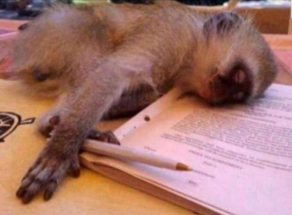 Last minute readers after reading one topic 🤣