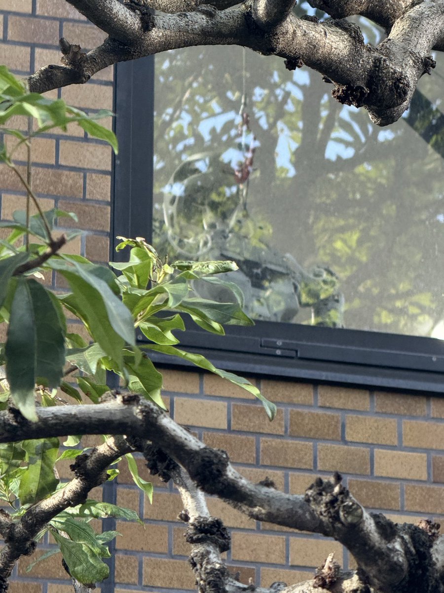 This unassuming building in the middle of Tokyo could be one of Japan’s answers to the global robotics race. Genki Robotics HQ — funded by a16z, AMD, DCM, X&amp;, etc. A humanoid can be seen hanging by the window.