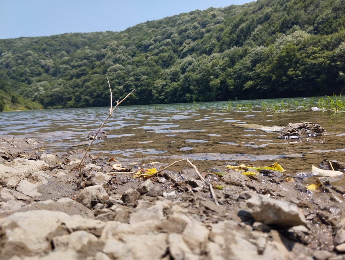 Issız tepelerde güneşe bakıp saati
Tahmin etsem,
Haberim olmasa hiç perşembeden 
Pazartesiden…

Turgut Uyar