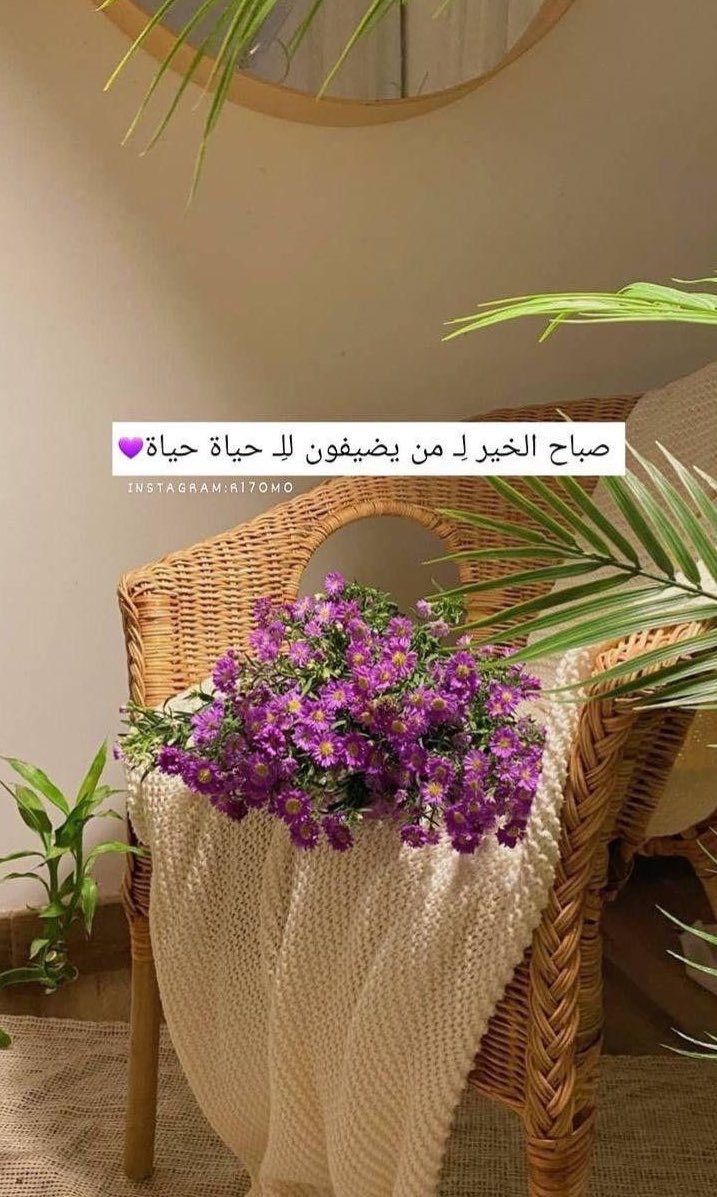 ياسمين tweet media