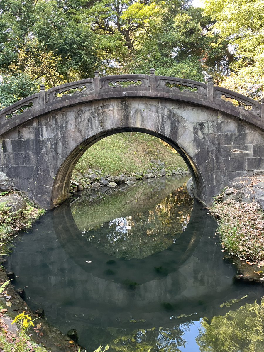 73Wakasu tweet picture