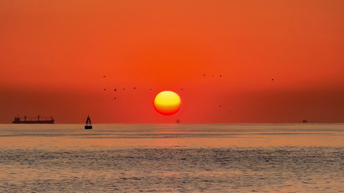 TheyCallme26's tweet photo. sunrise https://t.co/TVOrkyr2cO