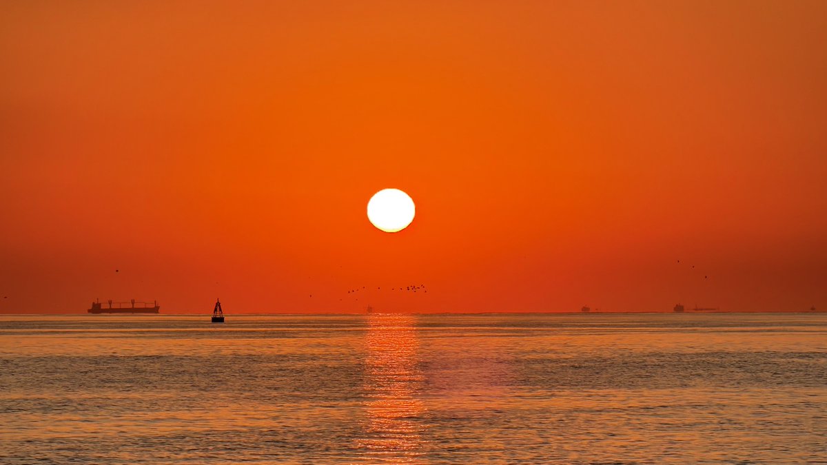 TheyCallme26's tweet photo. sunrise https://t.co/TVOrkyr2cO