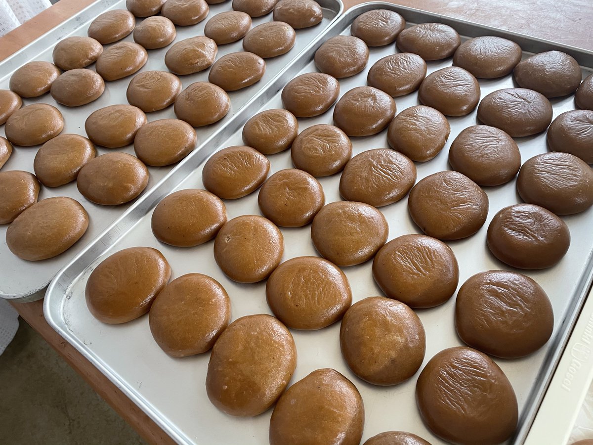 12月に入りました。今年も年末年始にむけて栃の実を使用した栃餅づくりを始めていきます。今年は朝日地域内不作年にあたってしまいましたので、急遽他県から仕入れた栃の実をアク抜きして対応してまいります。予めご了承ください🙇
#栃餅 
#栃の実