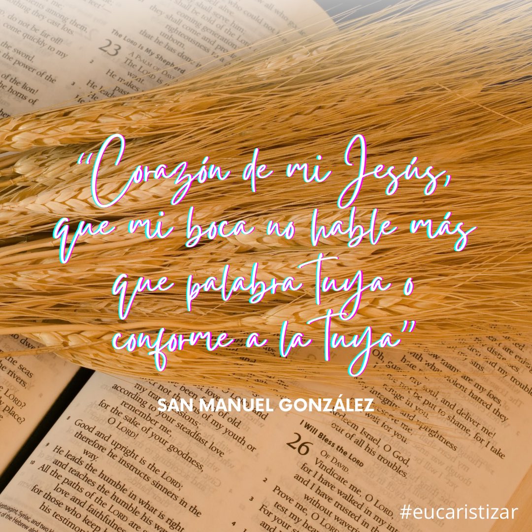 #eucaristizar #Adviento2025 <a href="/eucaristicas/">M.E.N.</a> <a href="/eucaristizando_/">F.E.R</a> <a href="/seminariomalaga/">Seminario de Málaga</a> <a href="/Villanazaret/">VILLANAZARET</a> <a href="/vallecamino/">Valle Camino</a> <a href="/PVsevilla/">Pastoral Vocacional Sevilla</a> <a href="/riedigital/">Revista Rie</a> <a href="/granitodigital/">EGDA</a> <a href="/elcuradetodos/">Padre César Piechestein 💙</a>
