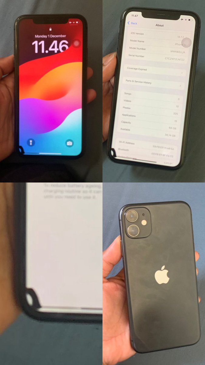 doremiii tweet media