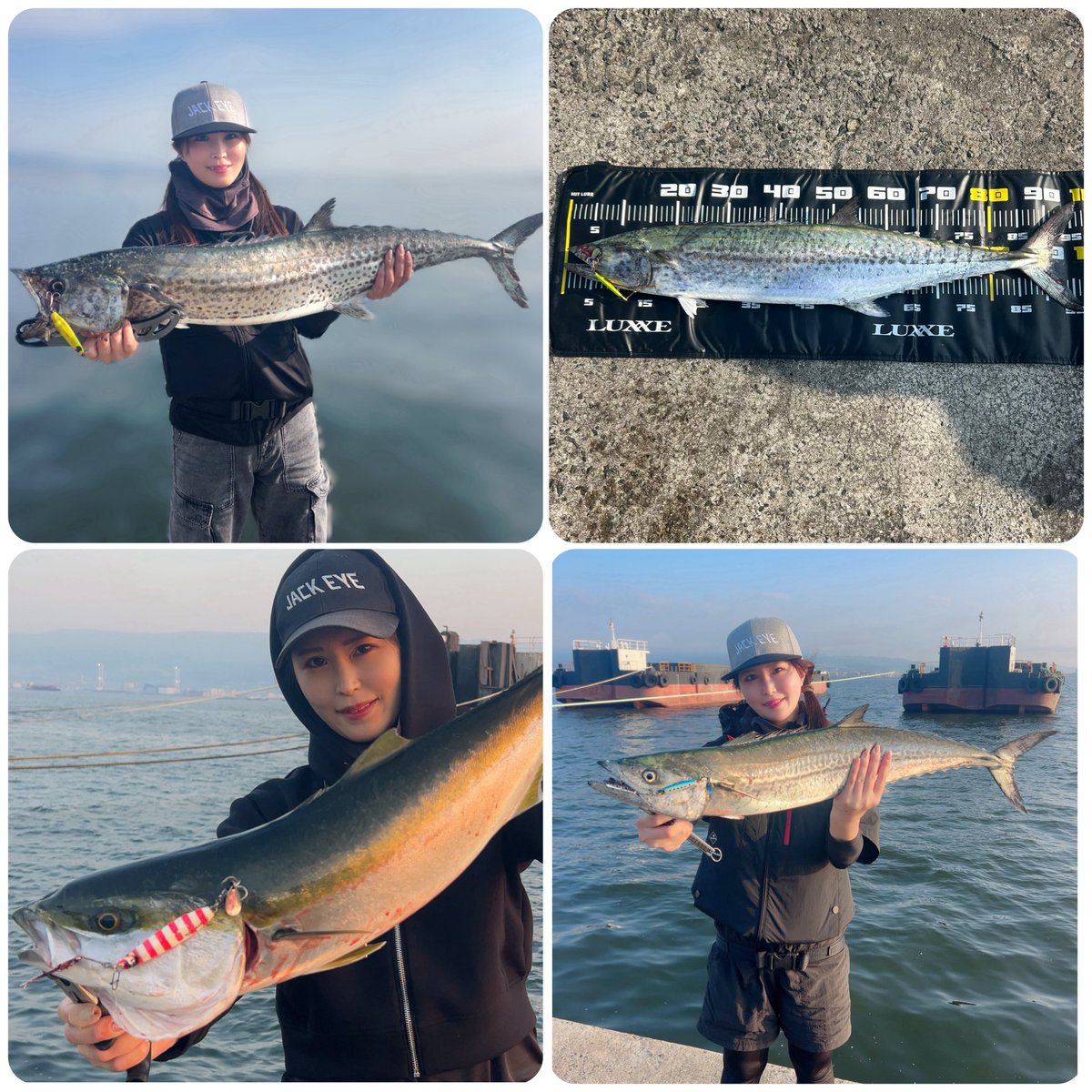 つっちゃん (@yasutsuchi) / Posts / X