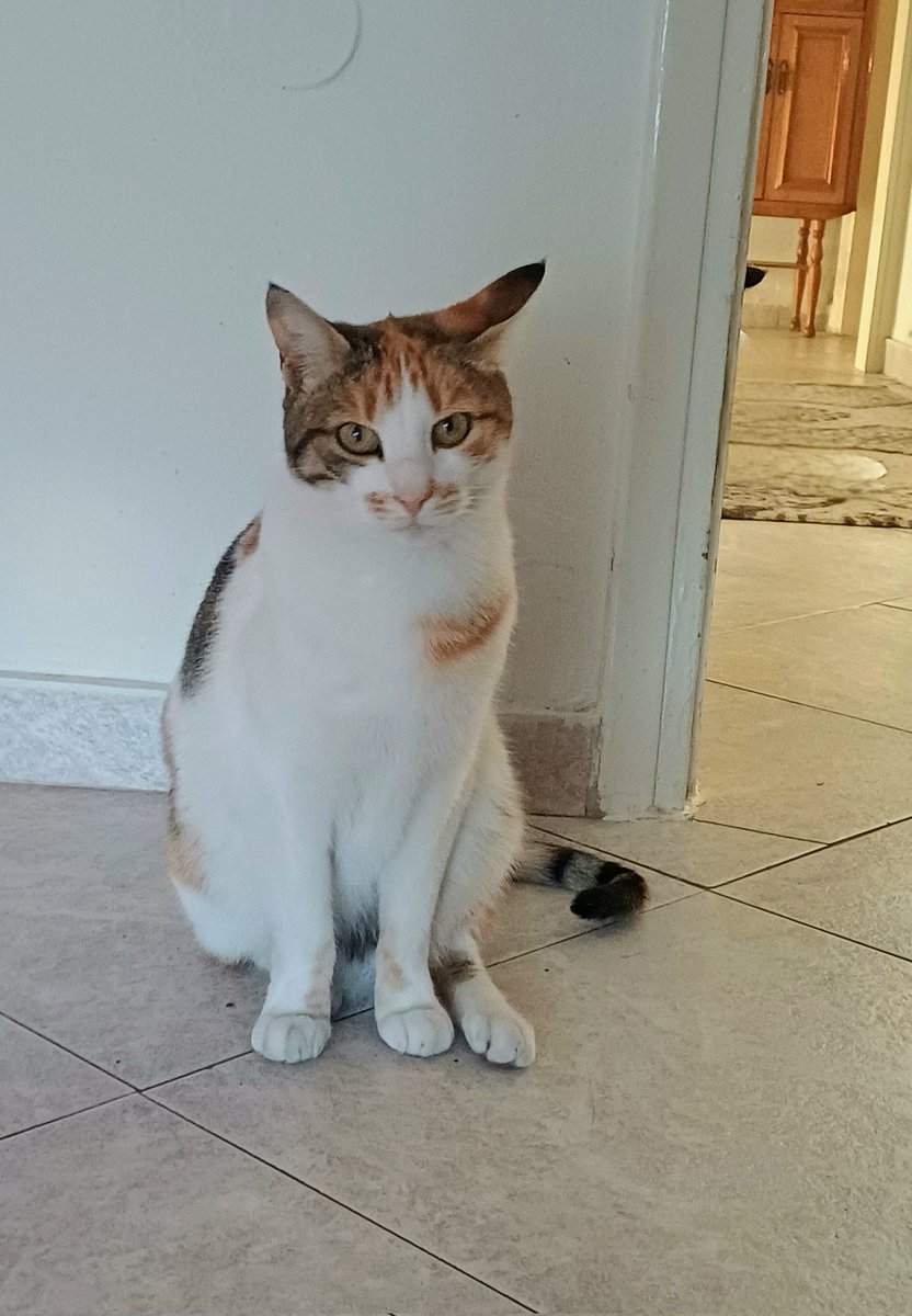 nektariaG's tweet image. Καλο μηνα μωρακια! #Νινα