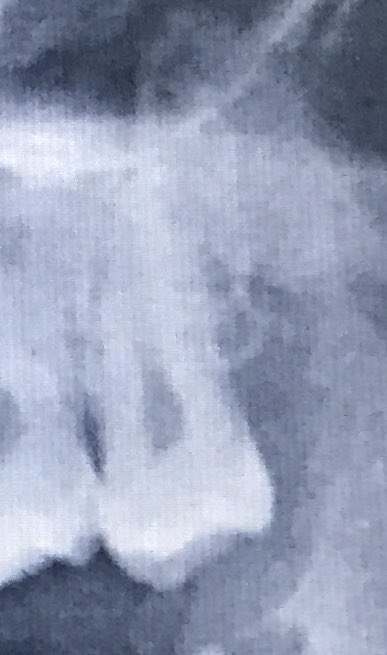 Dr. Mohammed Al-Mahri د. محمد المهري tweet media