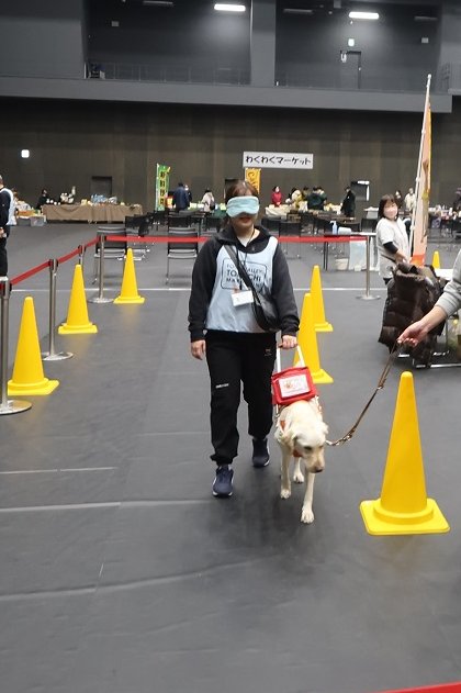 💛12月3～9日は #障害者週間💛
11月29日、30日に開催した #オビパラフェスタ には、たくさんの方に参加いただきました‼️
出店いただいた皆さま、ご来場いただいた皆さま、ありがとうございました😀
#ダイアログ・イン・サイレンス ＃パラスポーツ #ワークショップ #手話 #要約筆記 #盲導犬