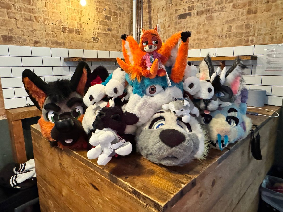 ExeterFurs's tweet image. Had a great furmeet on November 29th. 

Started with ice skating at Exeter winter wonderland, spent a few hours in Exeter Phoenix and ending at Vue Cinema to watch Zootropolis 2!

(P.s enjoy the bonus video of crimson falling over!)