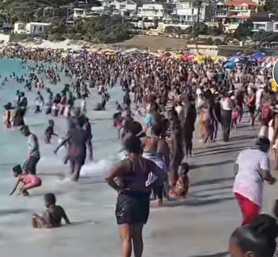 ChrisExcel102's tweet image. To my fellow black comrades 

Even this year … let’s go in numbers in those white dominated beaches 🌊🌊

This is your country enjoy every part of it without being limited 

Spread your wings 😭😭🔥🔥