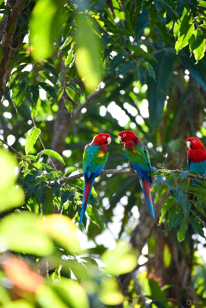 Good morning kings and queens✨

Happy new month x familia🌹

May this month be the best of the year🤲🏽✨