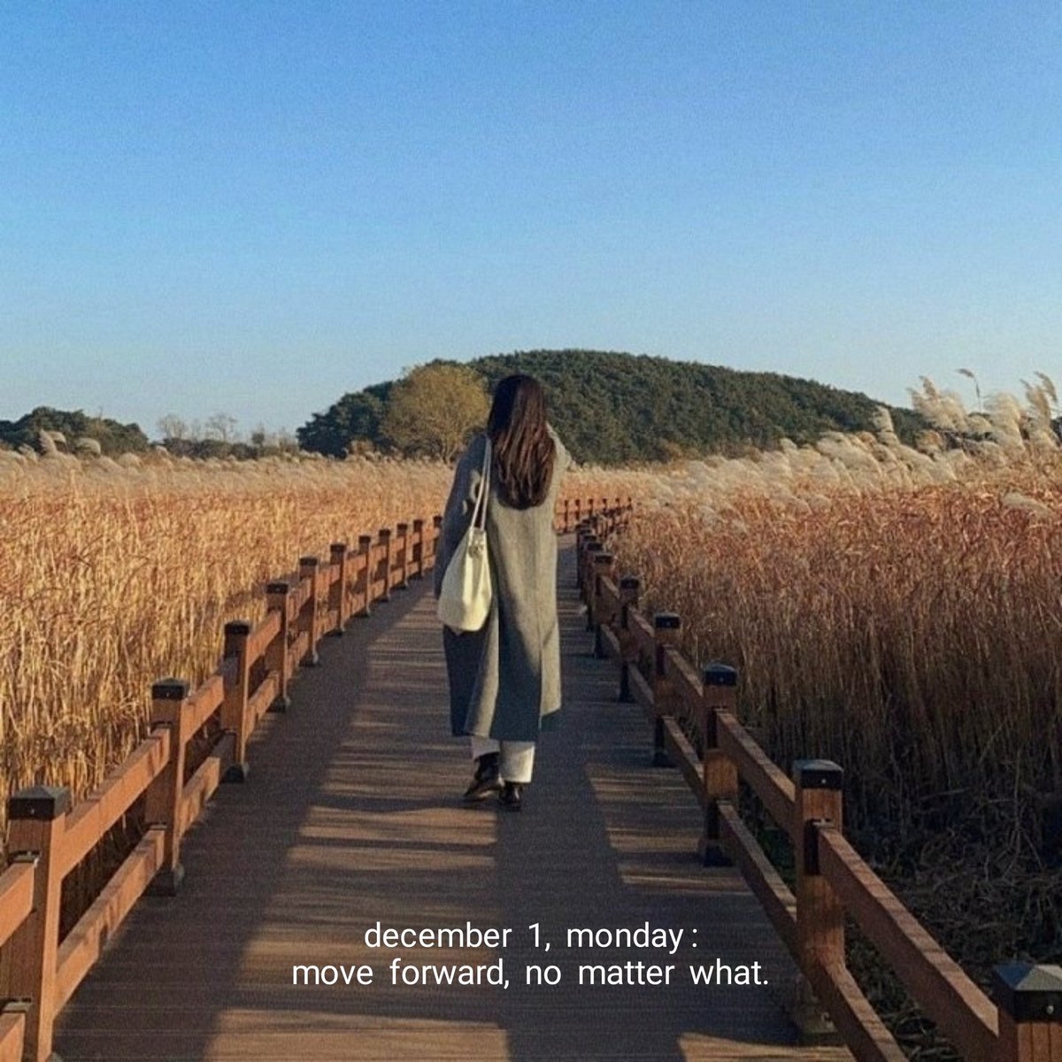 moodnovella's tweet image. Chapter 335🧡