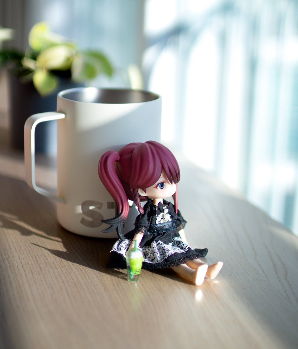 よるちゃんとコーヒー☕️
よるちゃんは元気に過ごしていますよ🥰

밤이랑 커피☕️ 밤이는 잘 지내고 있답니다🥰
#Guri_子