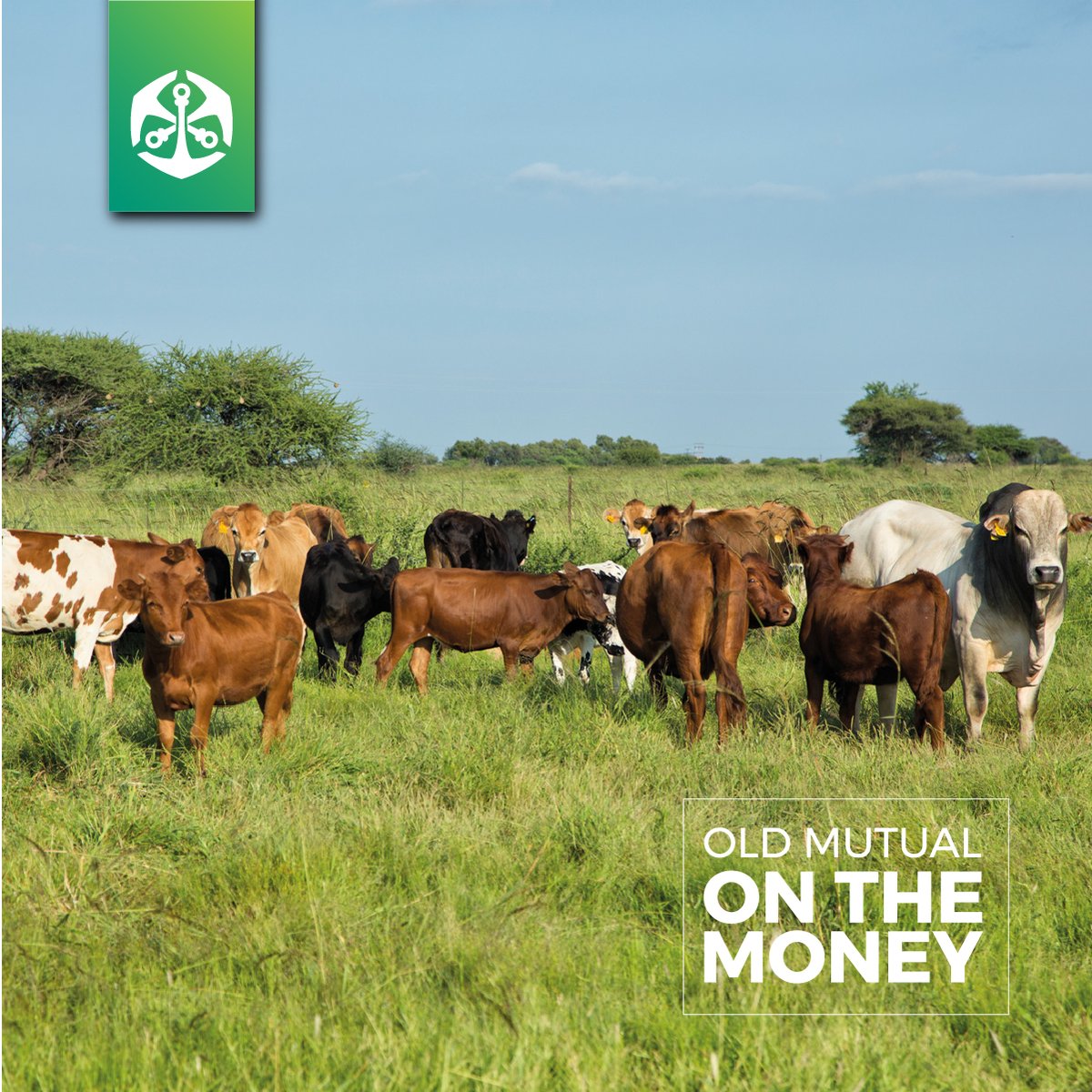 The festive season can be a period when many couples choose to head to the altar. One of the biggest areas of confusion is around customary marriages. Don’t rush into marriage without considering important legal details: bit.ly/4ptN3OJ