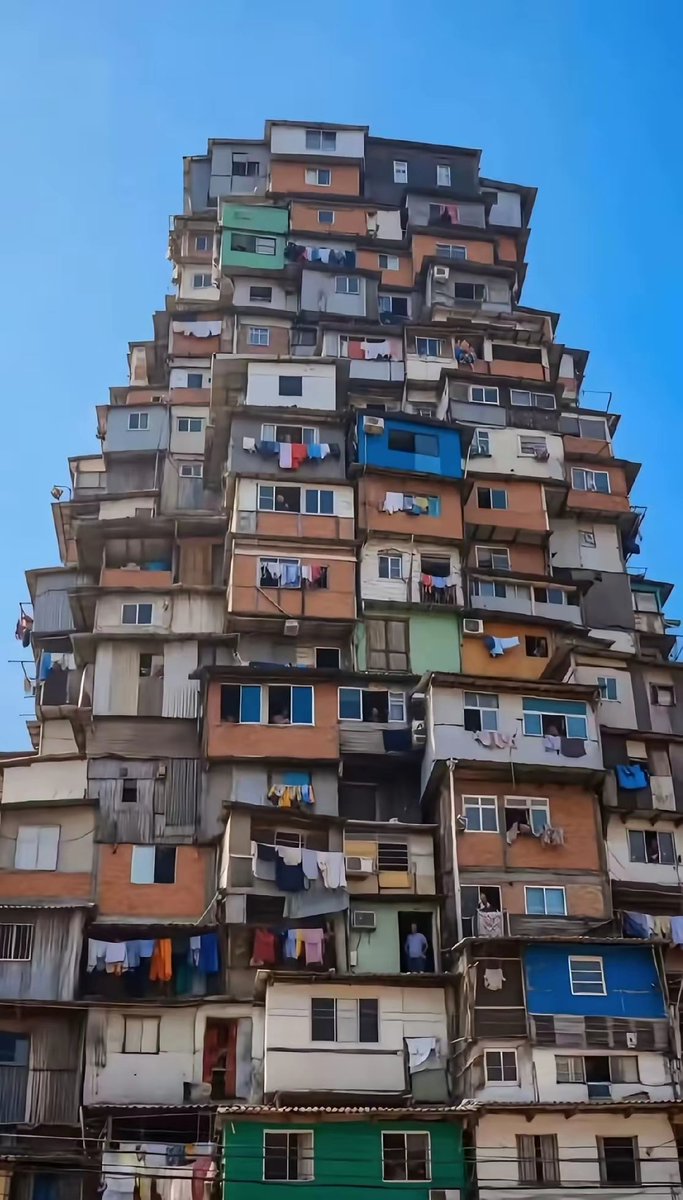 李丹 互fo tweet media