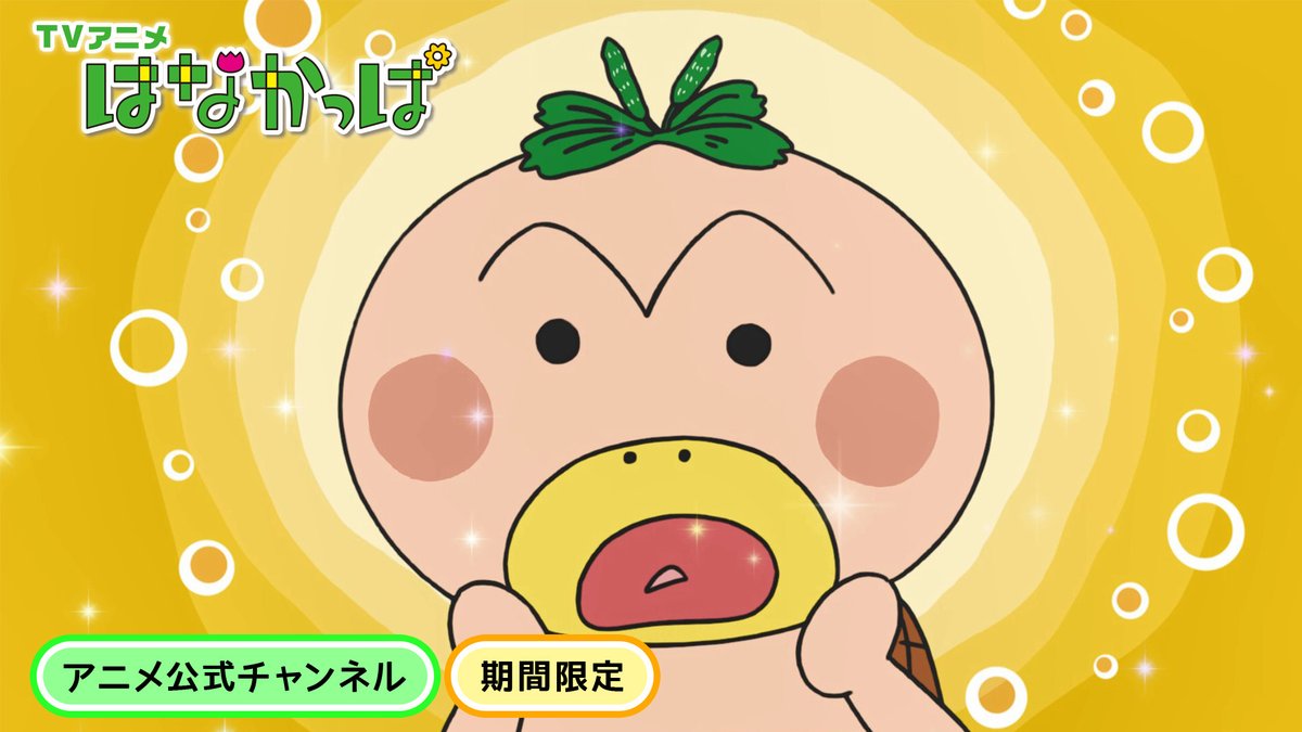 はなかっぱ (@hanakappa_PR) / Posts / X