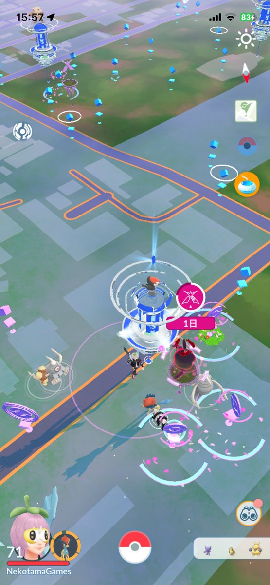 NekotamaGames's tweet image. 頼むからマグネットルアーを焚かせてプリーズ‼️#PokemonGO