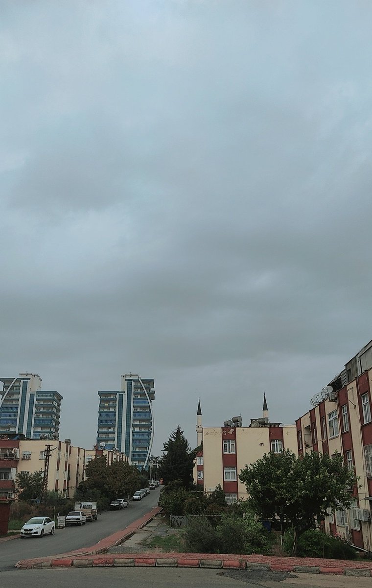 Günaydın ... 🐞🌦️