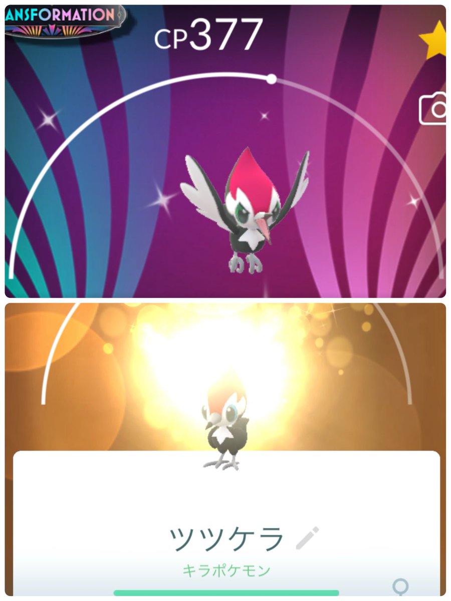 2C0r_1209's tweet image. 年末前ラストのコミュニティデイおつかれさまでした☕🫖𓈒𓏸
色違い背景ゲットできて良い締めくくりになりました🪽キラのツツケラ光りすぎて眩しい…！
雪だるまヌメラちゃん達とおつかれさま会も⛄️🎄❅⋆⁺
#ポケモンGO #PokémonGO