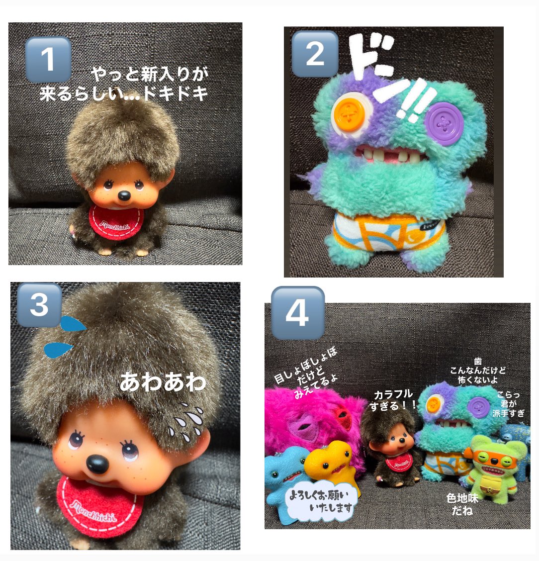 仲間が増えた！！😊 #もんちっち #ファグラー