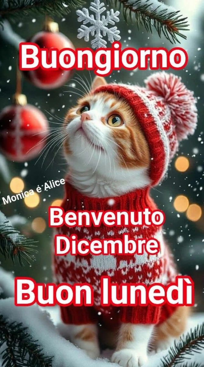 Flora Laura tweet media