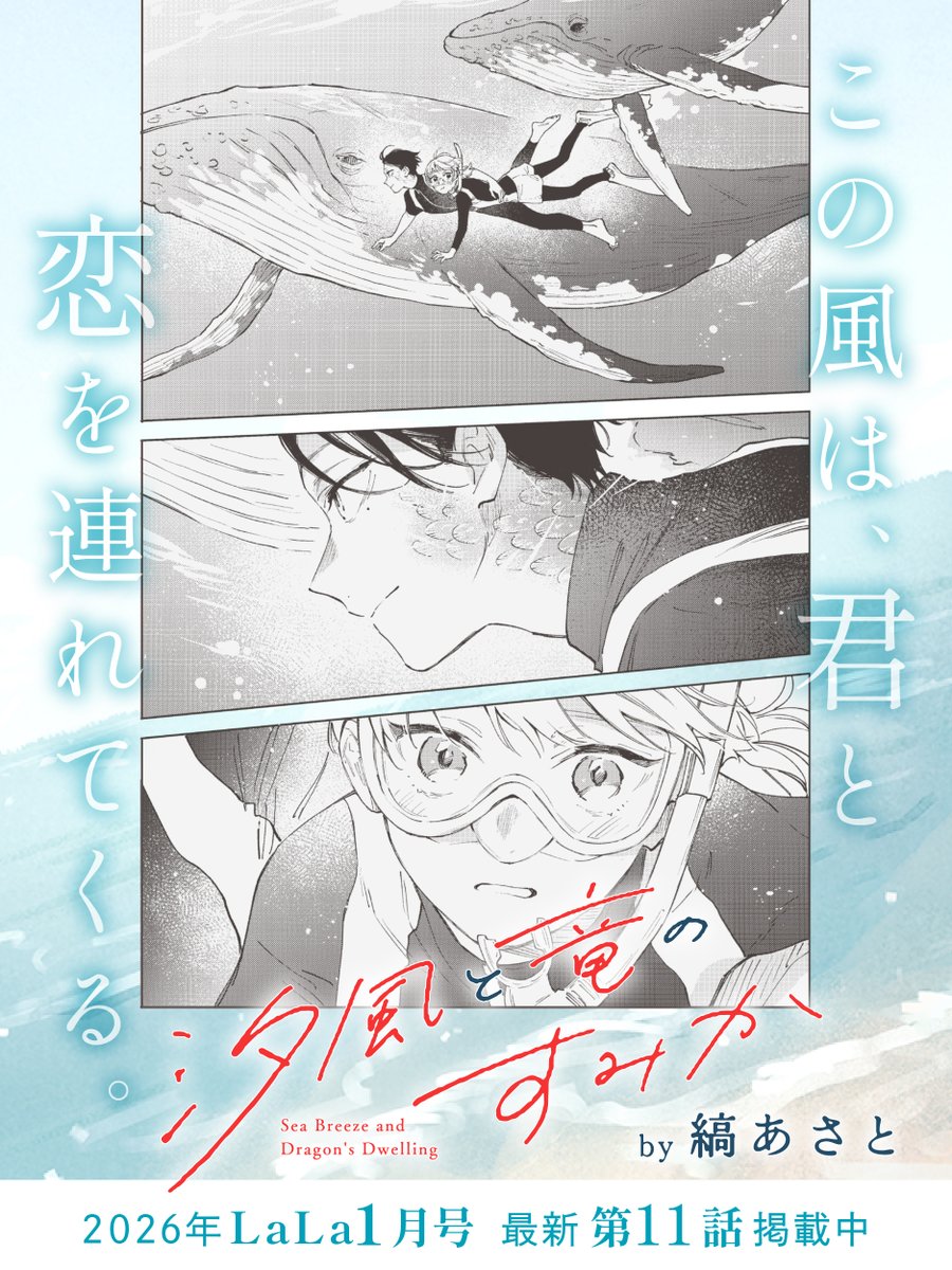 縞あさと (@asatoshima) / Posts / X