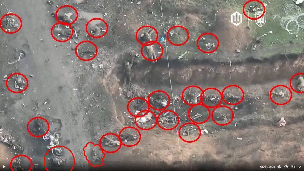 SymorozOfficial's tweet image. Це приклади лише одного окопу, одного з напрямків, де російська армія активно наступає. Все в їхніх трупах. Ось це їх реальний рівень. В народі це має назву «мʼясний штурм». І така доля чекає кожного російського окупанта і на жаль, тих, хто вирішив «перечекати» на окупованій…