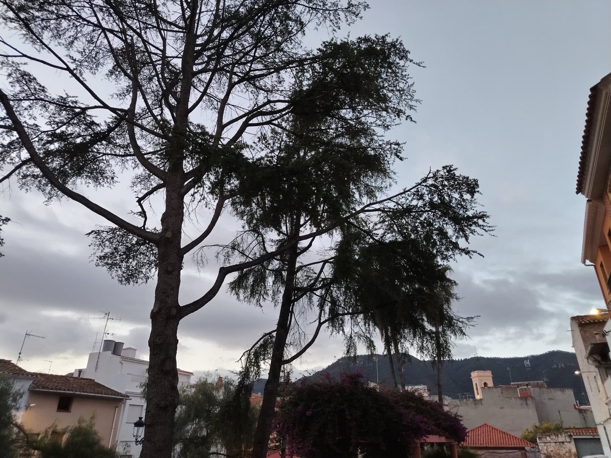 Artana Temp 11° no fa fred. A caugut alguna gota. <a href="/apuntoratge/">À Punt Oratge</a>  <a href="/Valencia_WX/">ValènciaWeather⚡️</a> <a href="/meteo_cs/">MeteoCastellón</a> <a href="/Meteo_Borriana/">Meteo Borriana</a> <a href="/MeteoMorella/">Juan Amela</a> <a href="/minervagra/">Minerva GG</a> <a href="/moles_gerard/">Gerard Molés</a> <a href="/ortiz_pat/">Patricio Ortiz (Pat)</a> <a href="/oratgenet/">Oratgenet Jordi Payà</a> <a href="/jcfortea/">Joan Carles Fortea</a> <a href="/tiempobrasero/">Tutiempo</a> <a href="/Tiempo_Valencia/">☈⚡TiempoValència☔❄</a> <a href="/lasextameteo/">La Sexta Meteo</a>