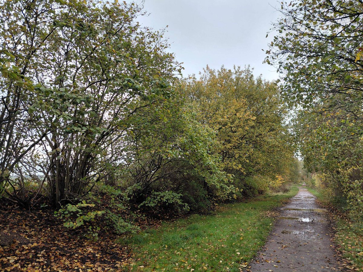 Cheshire East Countryside Rangers tweet media