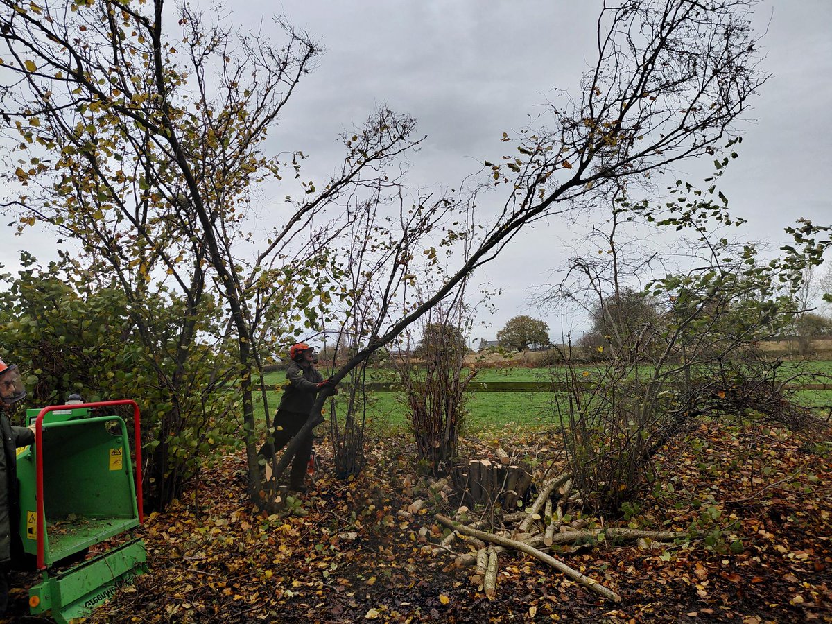 Cheshire East Countryside Rangers tweet media