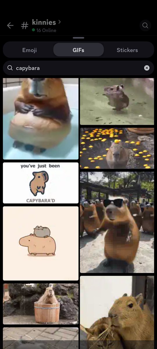 lazer 🛸 tweet media