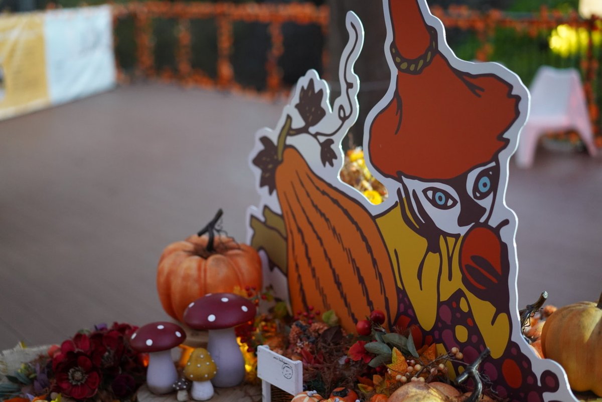 バレパは秋に行くべき🍂🍎