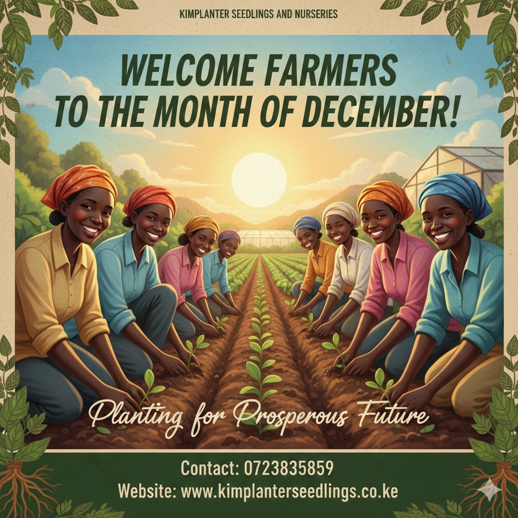 Kimplanter seedlings tweet media