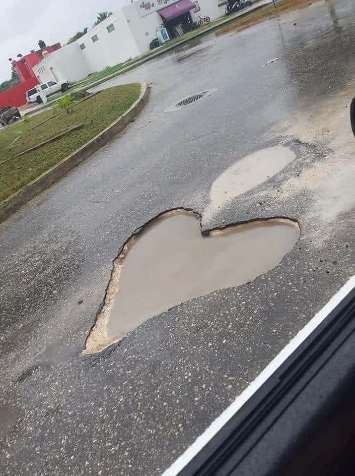 Tendrás el peor diciembre si ignoras al bache del amor. 💰 💲