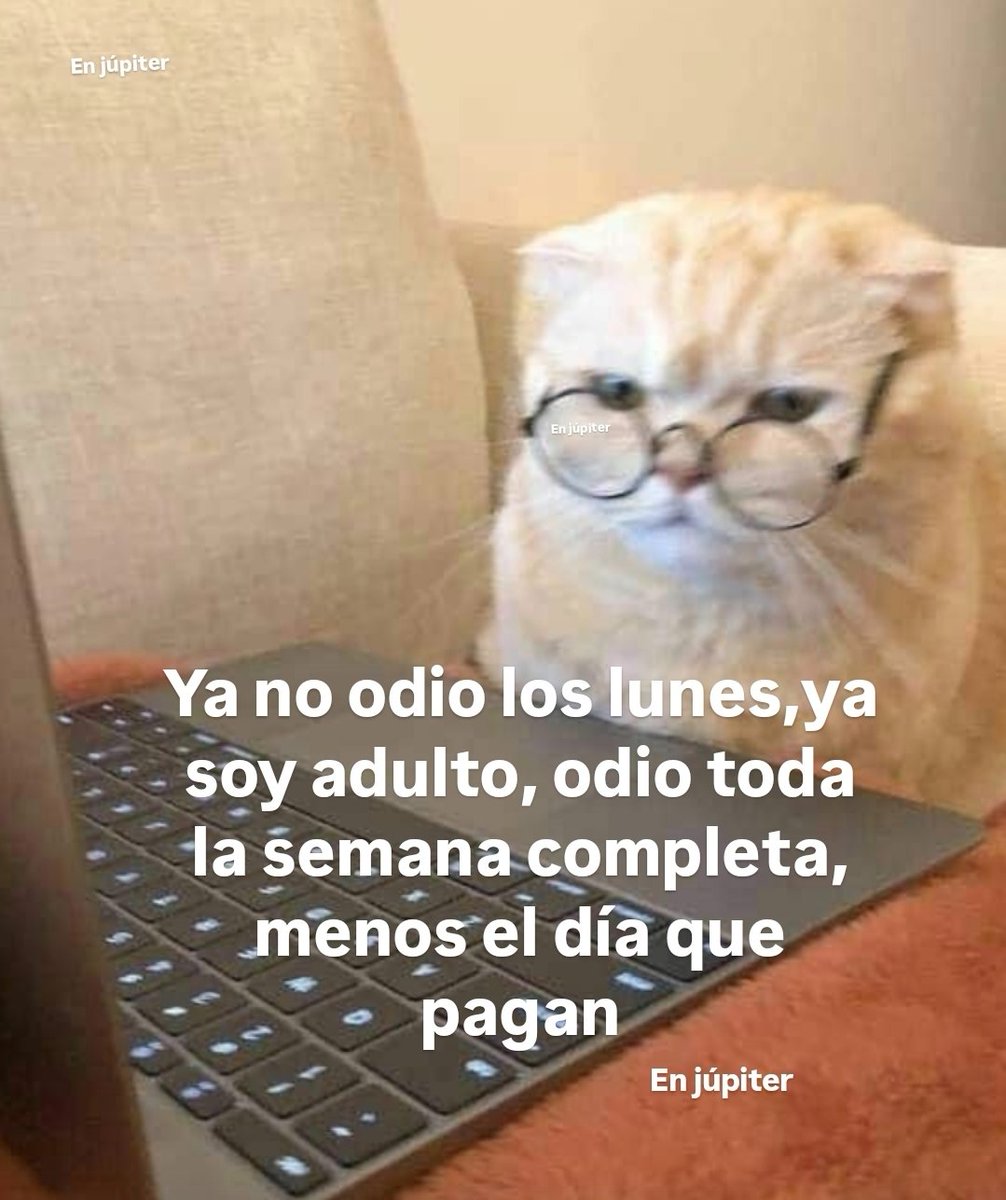 En Júpiter tweet media