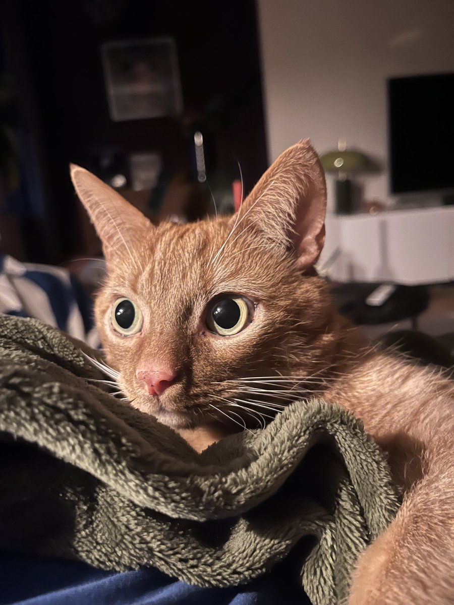 Ook Taco’s maandagochtend.